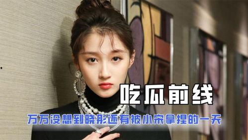 关于娱乐圈的吃瓜的小说,幕后风云,瓜田乱舞